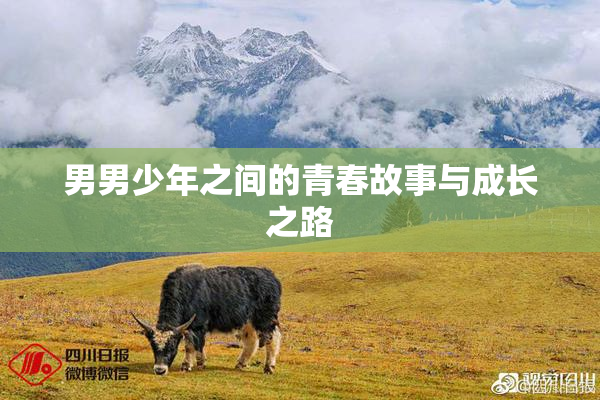 男男少年之间的青春故事与成长之路