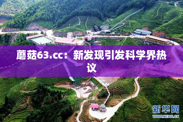 蘑菇63.㏄：新发现引发科学界热议