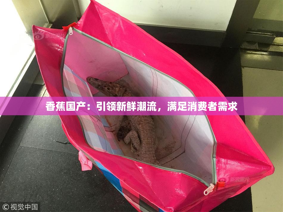 香蕉国产：引领新鲜潮流，满足消费者需求