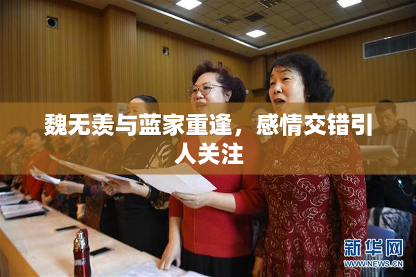 魏无羡与蓝家重逢，感情交错引人关注