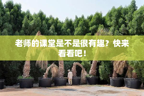 老师的课堂是不是很有趣？快来看看吧！