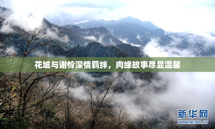 花城与谢怜深情羁绊，肉缘故事尽显温馨