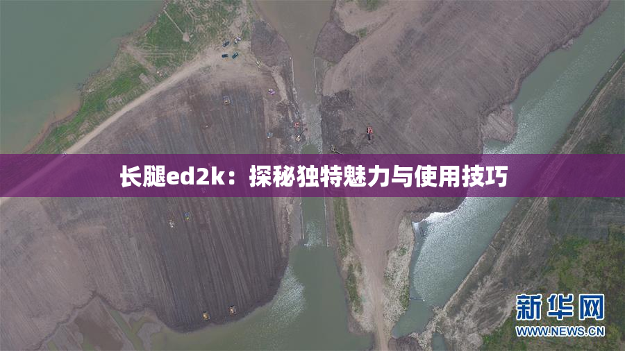 长腿ed2k：探秘独特魅力与使用技巧