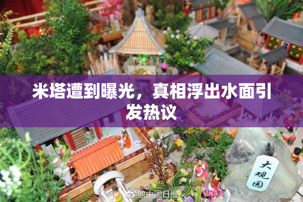 米塔遭到曝光，真相浮出水面引发热议