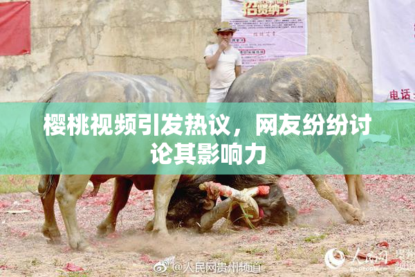 樱桃视频引发热议，网友纷纷讨论其影响力