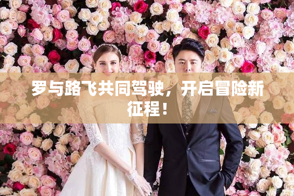 罗与路飞共同驾驶，开启冒险新征程！
