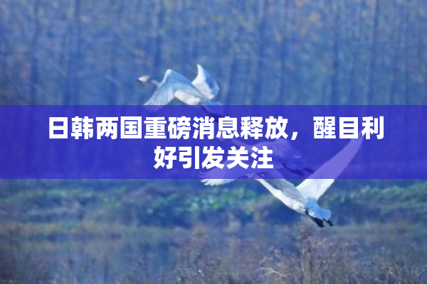 日韩两国重磅消息释放，醒目利好引发关注