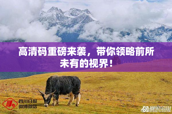 高清码重磅来袭，带你领略前所未有的视界！