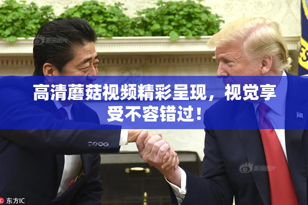 高清蘑菇视频精彩呈现，视觉享受不容错过！