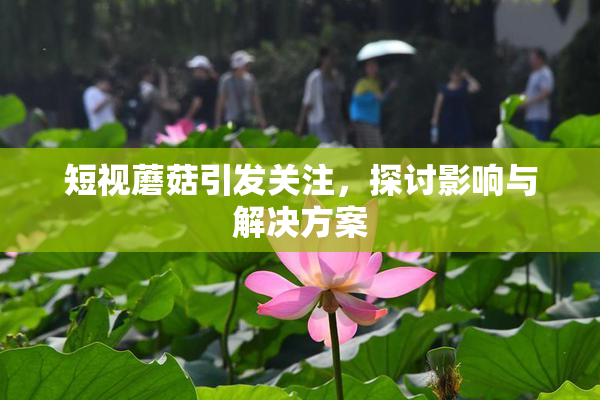 短视蘑菇引发关注，探讨影响与解决方案