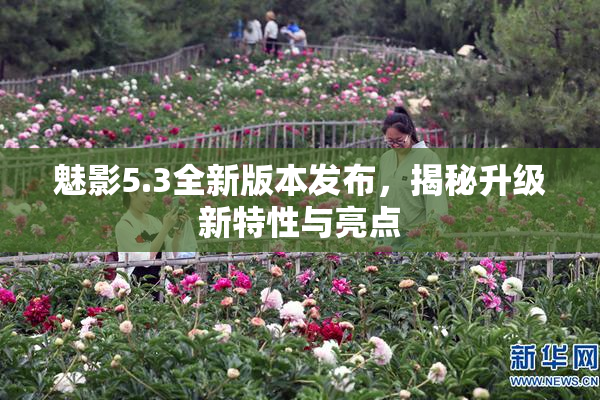 魅影5.3全新版本发布，揭秘升级新特性与亮点