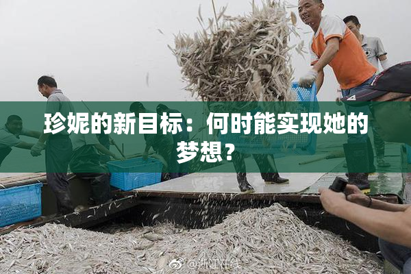 珍妮的新目标：何时能实现她的梦想？