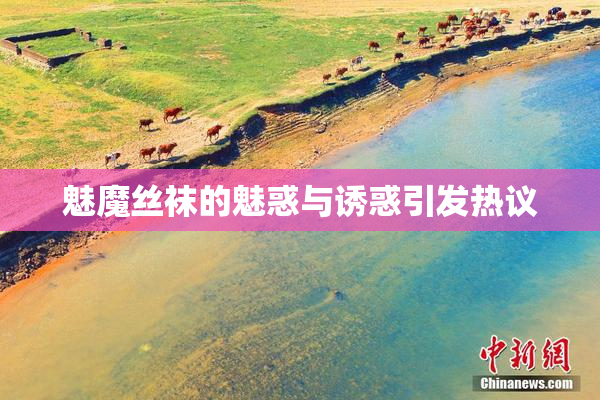 魅魔丝袜的魅惑与诱惑引发热议