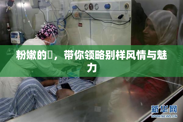 粉嫩的泬，带你领略别样风情与魅力