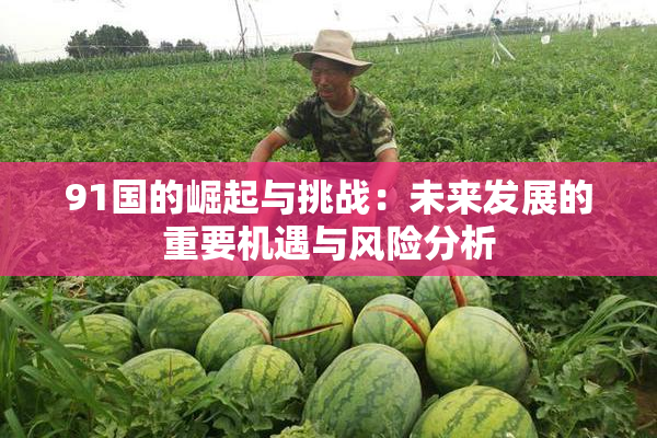 91国的崛起与挑战：未来发展的重要机遇与风险分析