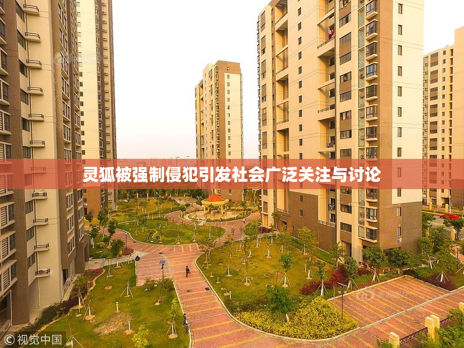 灵狐被强制侵犯引发社会广泛关注与讨论