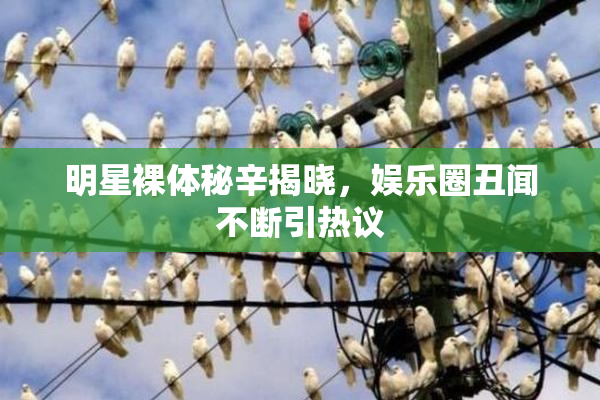 明星裸体秘辛揭晓，娱乐圈丑闻不断引热议