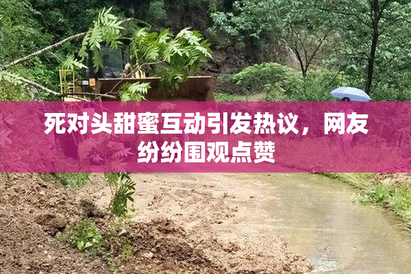 死对头甜蜜互动引发热议，网友纷纷围观点赞