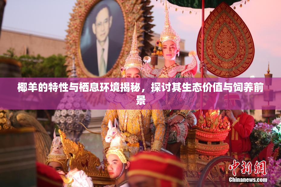 椰羊的特性与栖息环境揭秘，探讨其生态价值与饲养前景