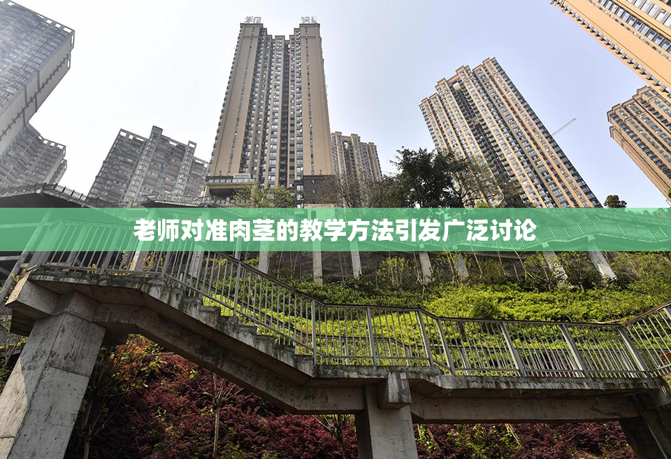 老师对准肉茎的教学方法引发广泛讨论