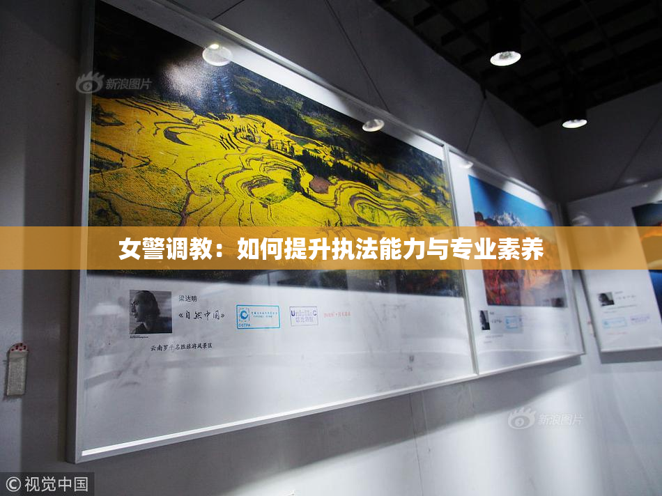 女警调教：如何提升执法能力与专业素养