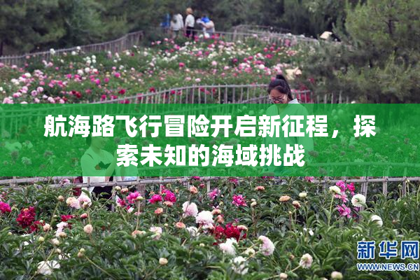 航海路飞行冒险开启新征程，探索未知的海域挑战