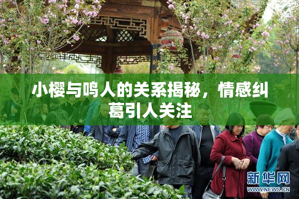 小樱与鸣人的关系揭秘，情感纠葛引人关注