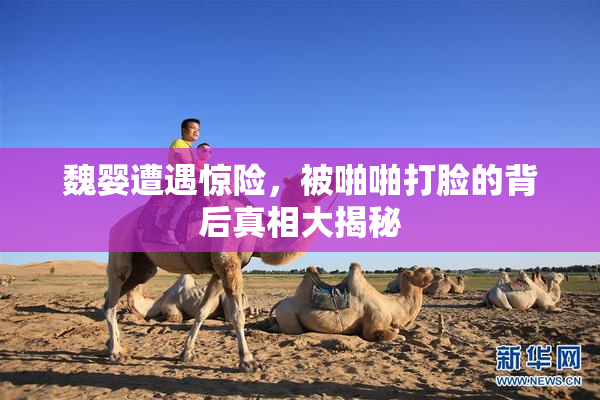 魏婴遭遇惊险，被啪啪打脸的背后真相大揭秘