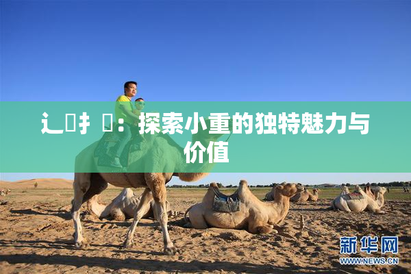辶喿扌畐：探索小重的独特魅力与价值