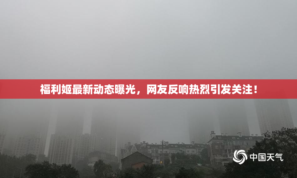 福利姬最新动态曝光，网友反响热烈引发关注！