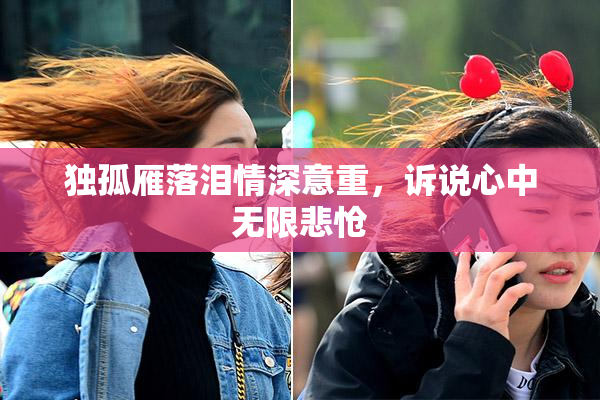 独孤雁落泪情深意重，诉说心中无限悲怆