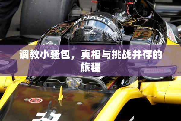 调教小骚包，真相与挑战并存的旅程