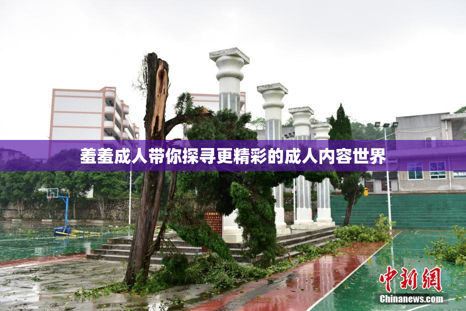 羞羞成人带你探寻更精彩的成人内容世界