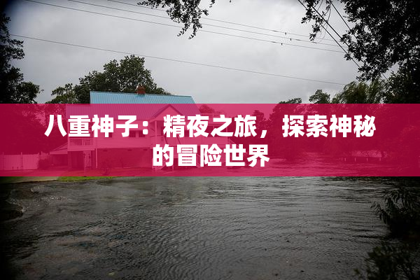 八重神子：精夜之旅，探索神秘的冒险世界