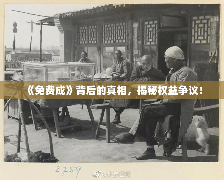 《免费成》背后的真相，揭秘权益争议！