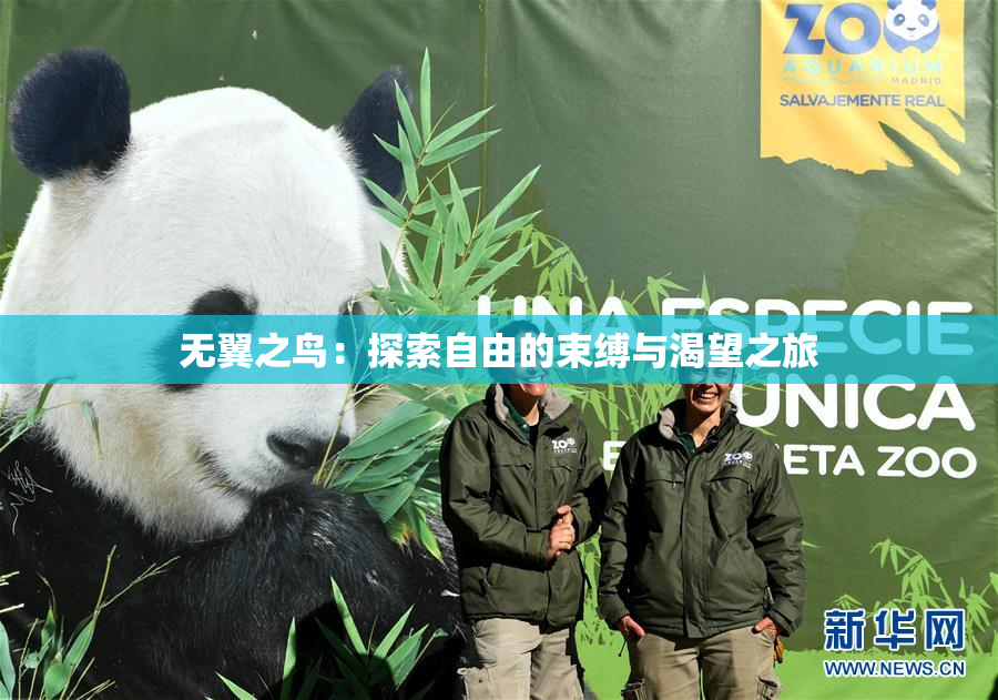 无翼之鸟：探索自由的束缚与渴望之旅