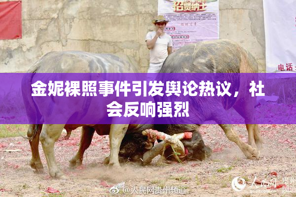 金妮裸照事件引发舆论热议，社会反响强烈