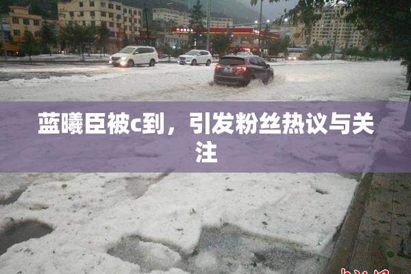 蓝曦臣被c到，引发粉丝热议与关注