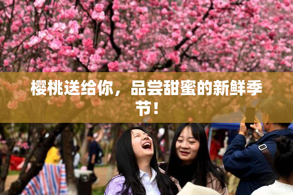 樱桃送给你，品尝甜蜜的新鲜季节！