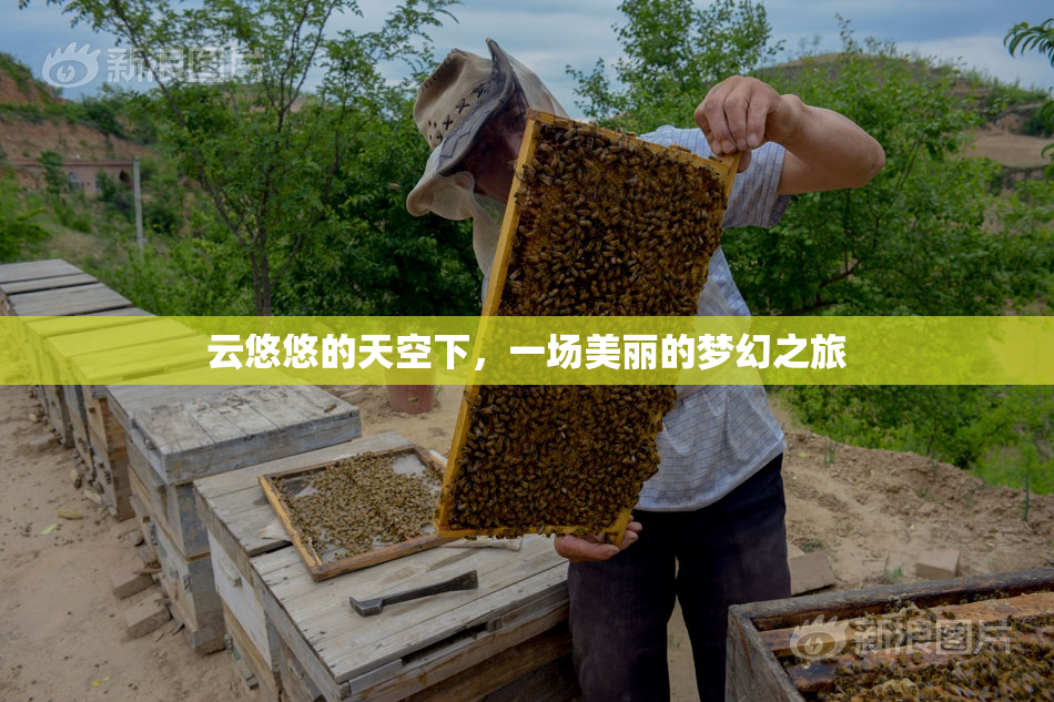 云悠悠的天空下，一场美丽的梦幻之旅