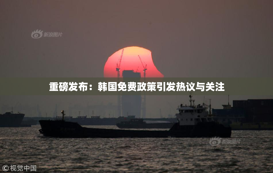重磅发布：韩国免费政策引发热议与关注