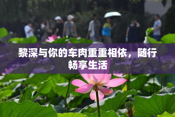 黎深与你的车肉重重相依，随行畅享生活