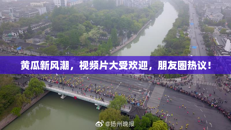 黄瓜新风潮，视频片大受欢迎，朋友圈热议！