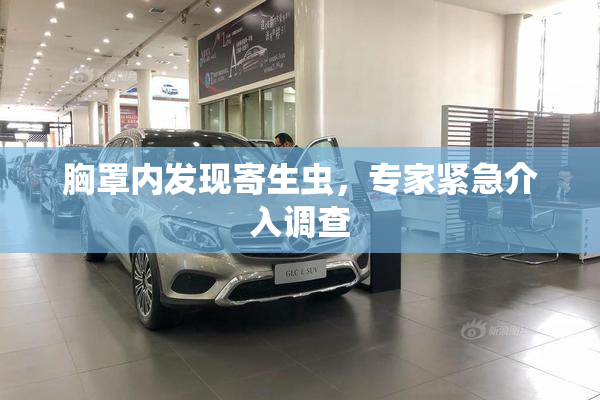 胸罩内发现寄生虫，专家紧急介入调查