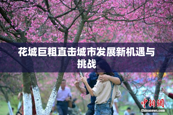 花城巨粗直击城市发展新机遇与挑战