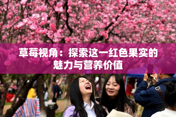 草莓视角：探索这一红色果实的魅力与营养价值