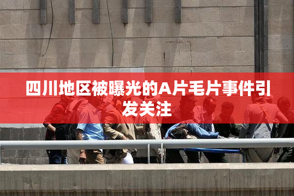 四川地区被曝光的A片毛片事件引发关注