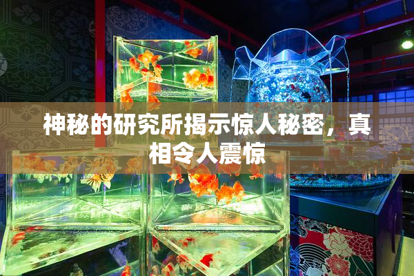 神秘的研究所揭示惊人秘密，真相令人震惊