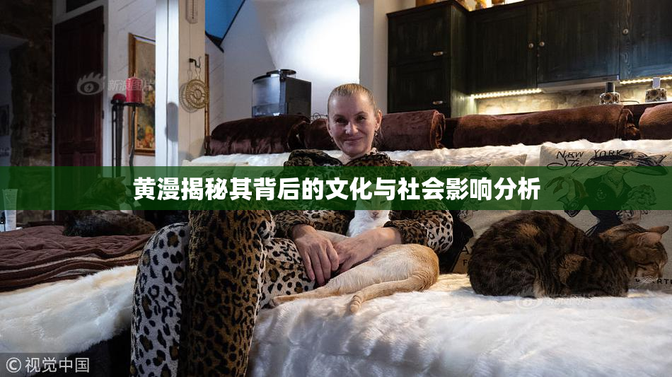 黄漫揭秘其背后的文化与社会影响分析
