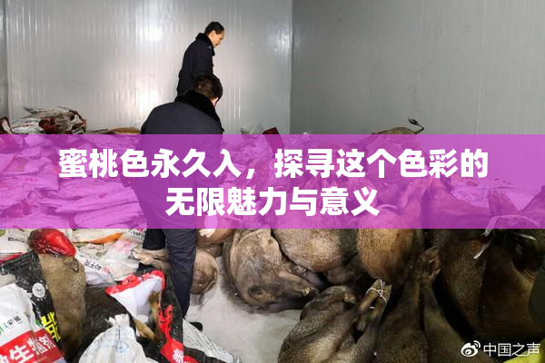 蜜桃色永久入，探寻这个色彩的无限魅力与意义